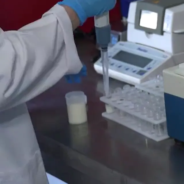 Laboratuvarda süt numunesinden pipetle örnek alınması ve analiz cihazıyla ölçüm.